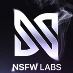 Profile picture of NSFWLabs Admin
